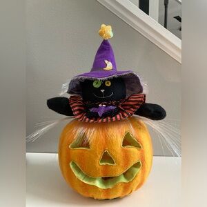 Animated d Fiber Optic Black Cat in Jack o Lantern